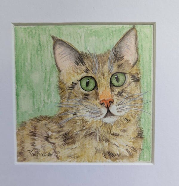 Le chat aux yeux verts