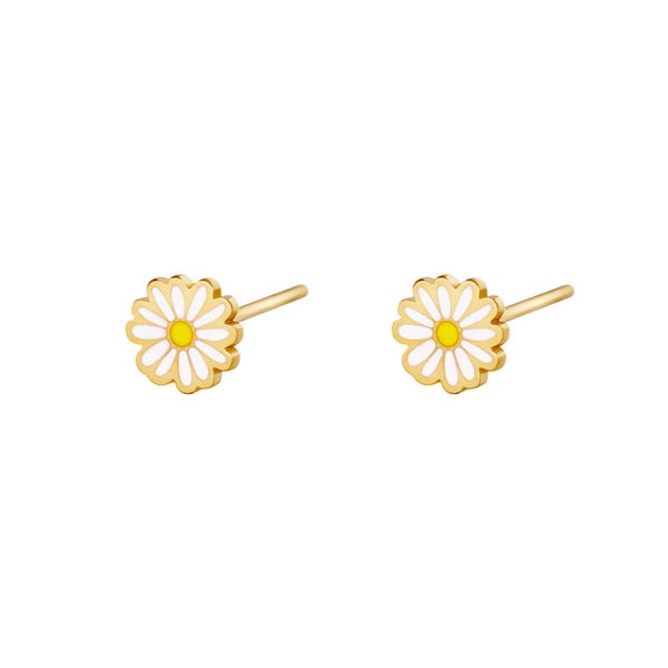 Studs golden daisy wit