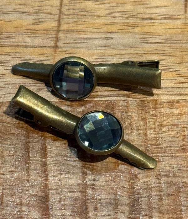 Hairjewelz color clip alligator mini Shine Silver