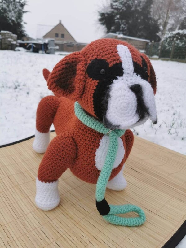Boxer