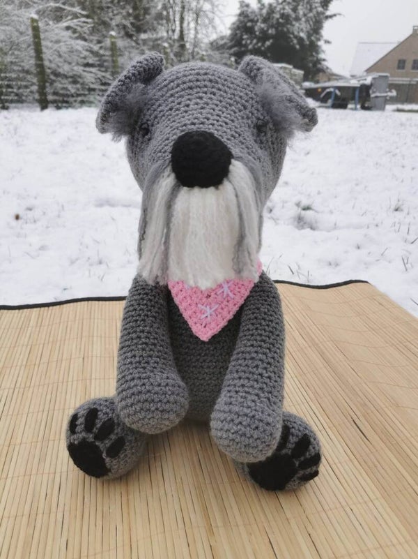 Schnauzer