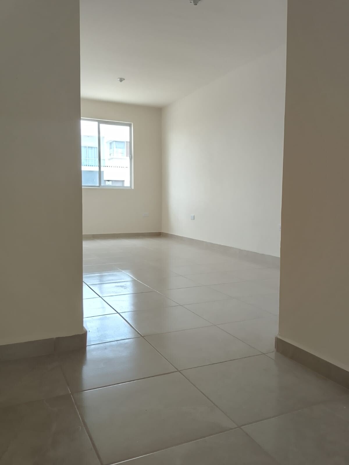 sala-standard-5n8xtp.jpg