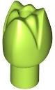 ID item:5903, Plant Flower Tulip with Bar and Small Pin Hole, Lime