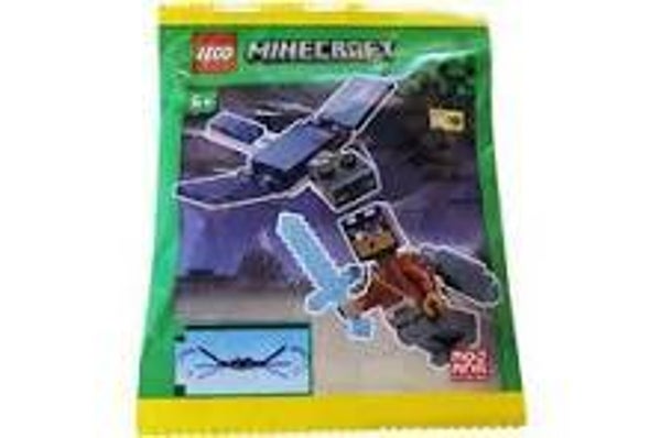 Lego Hero with Elytra and Phantom 662501