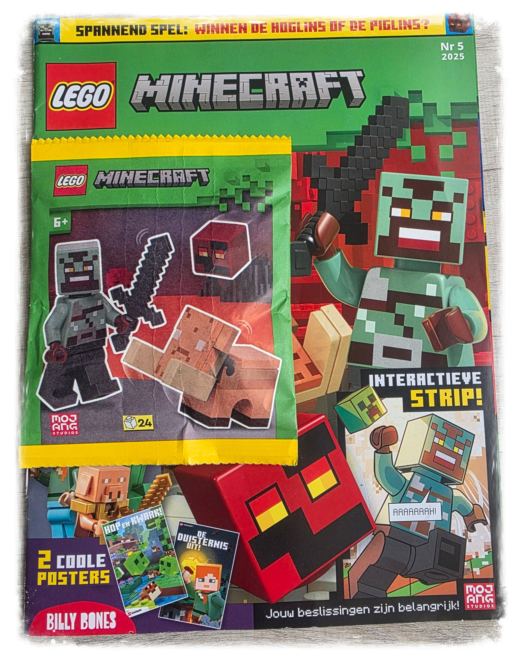 Lego Minecraft 05-2025
