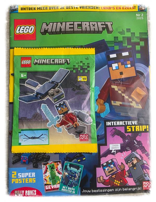 Lego Minecraft 02-2025
