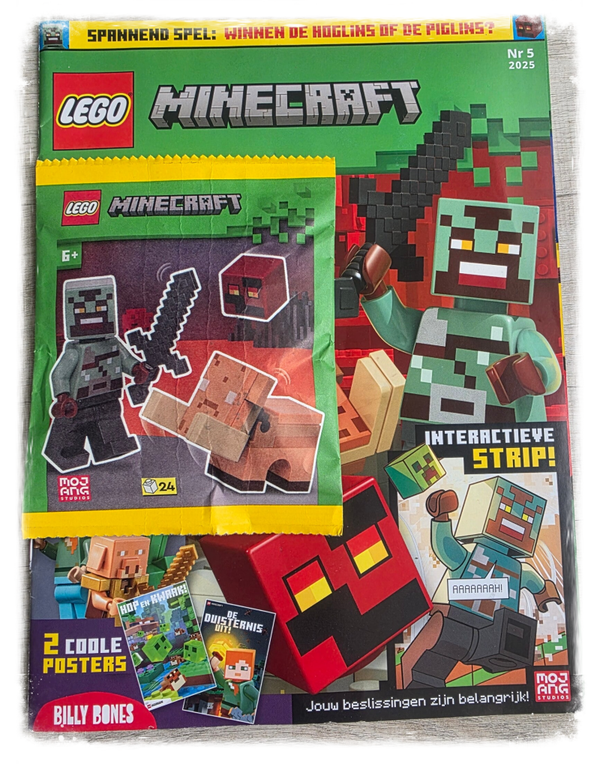 Lego Minecraft 05-2025