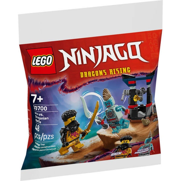 Lego Arin vs. Dragonian battle 30700