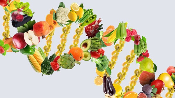 PLAN NUTRICIONAL