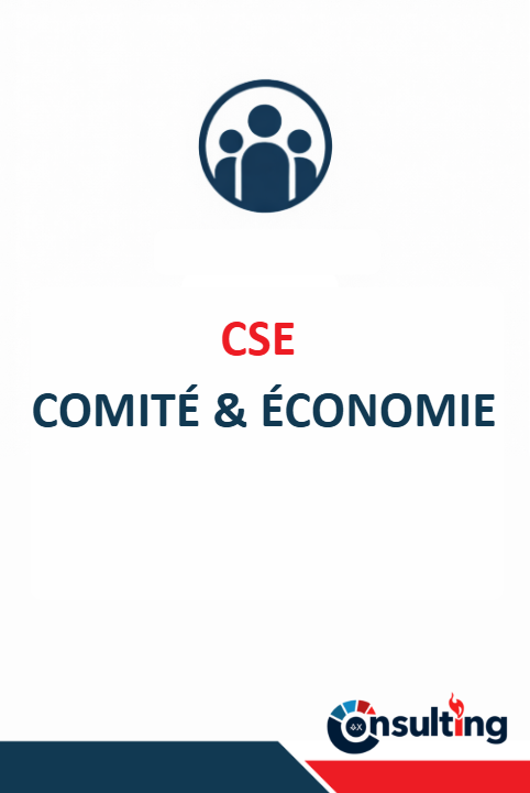 Formation CSE "Comité Social & Économique" - 21h