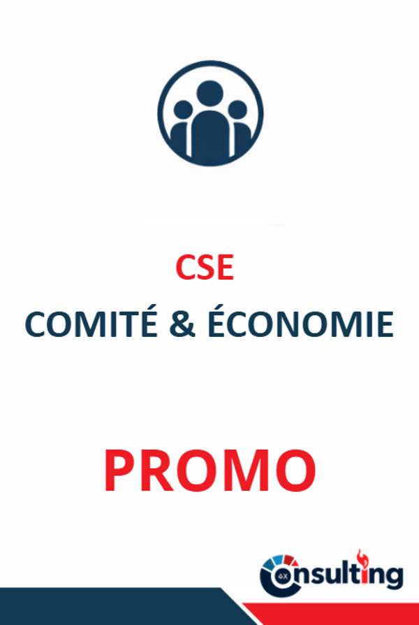 PROMOTION - Formation CSE "Comité Social & Économique" - 21h
