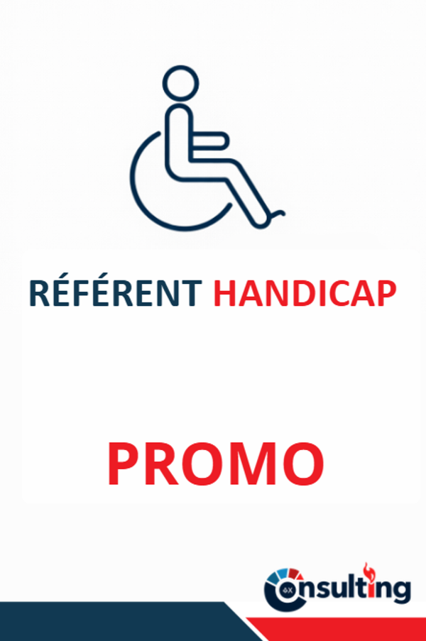 PROMOTION - Formation "Référent Handicap en entreprise et en formation" - 14h