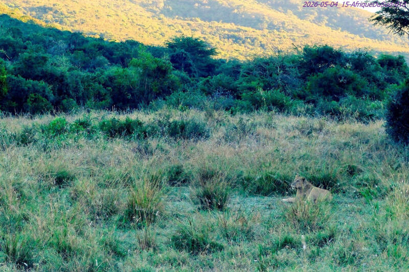 2026-05-04_15-afriquedusud-010_secary-standard.jpg