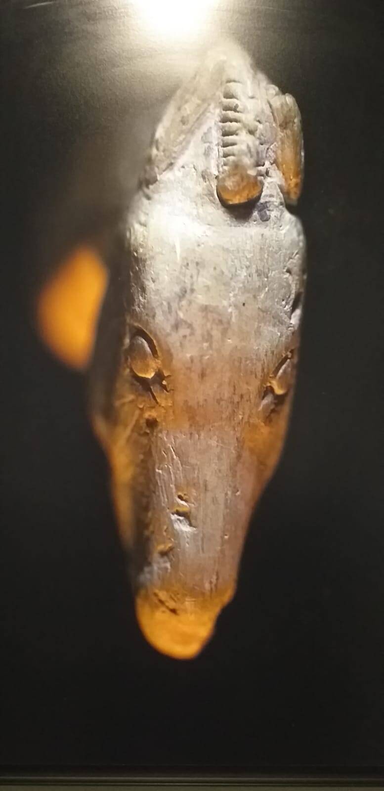 nhqd2555-standard.jpg