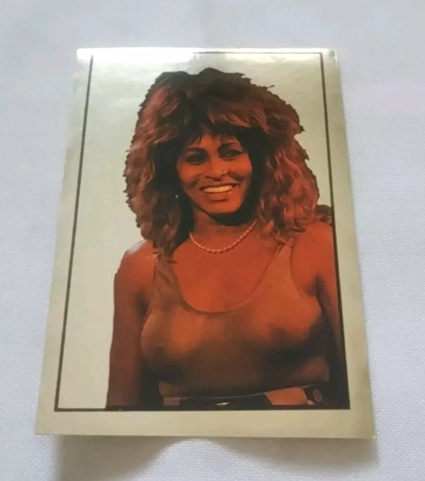 FIGURINA ROCK COLLECTION   VALLARDI   N° 105   Gold Metal   TINA TURNER   1987