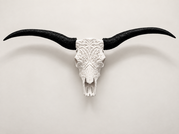 Decoratieve Longhorn Schedel – Wit met Zwarte Hoorns
