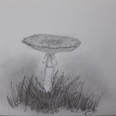 20180209_143114.jpg