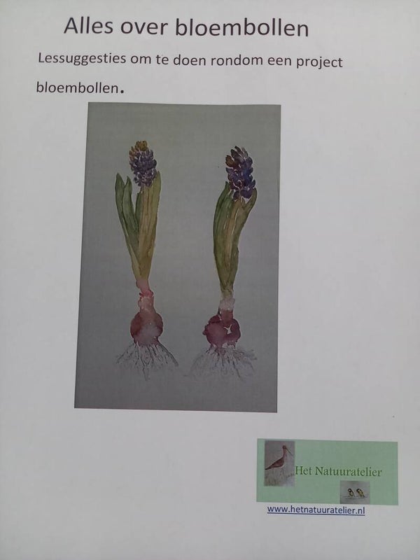 lesbrief bloembollen