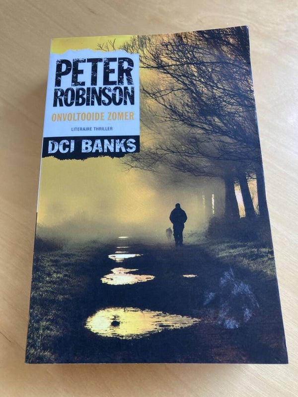Peter Robinson - Onvoltooide zomer (DCI Banks)
