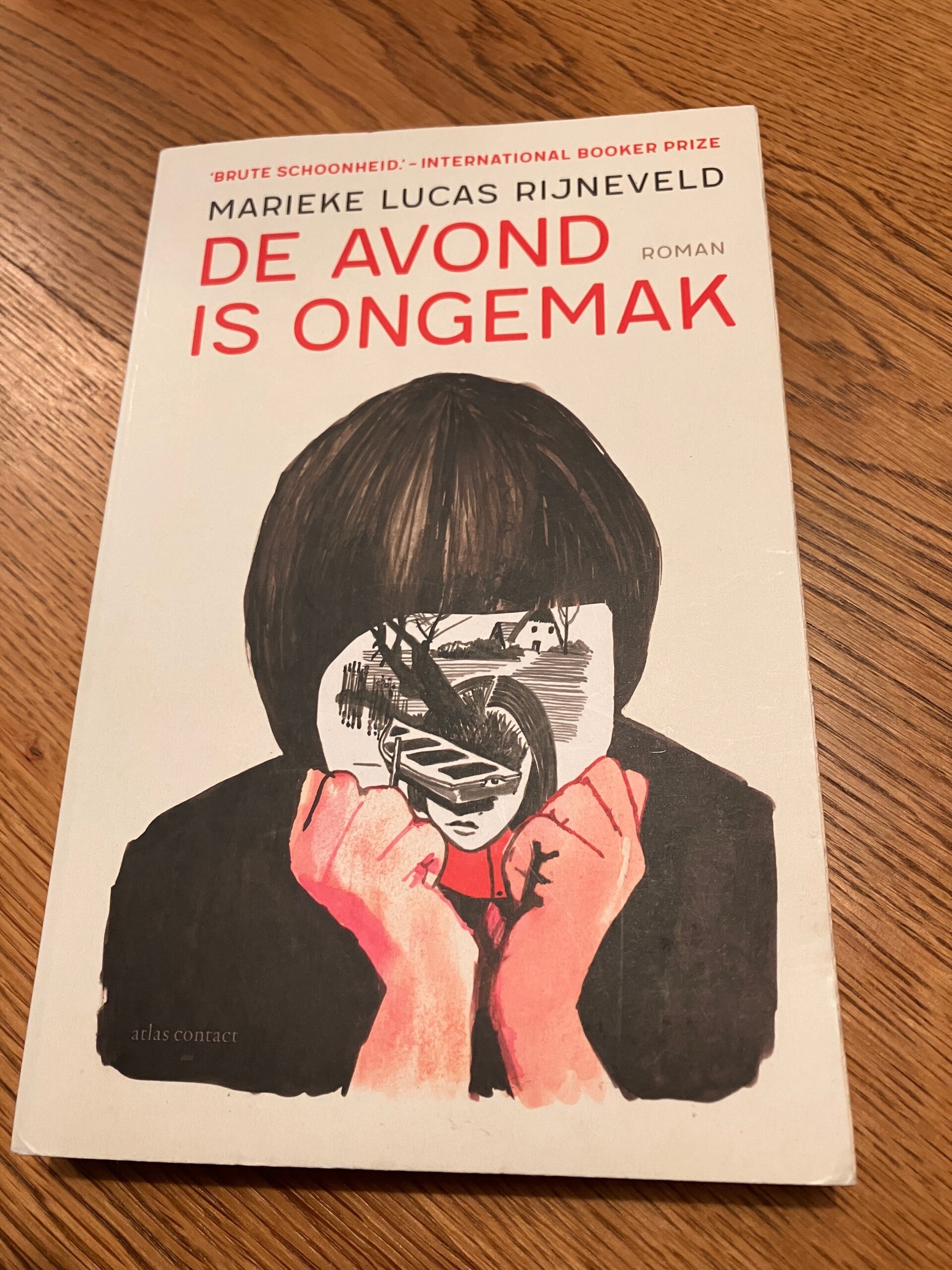 Marieke Lucas Rijneveld - De avond is ongemak