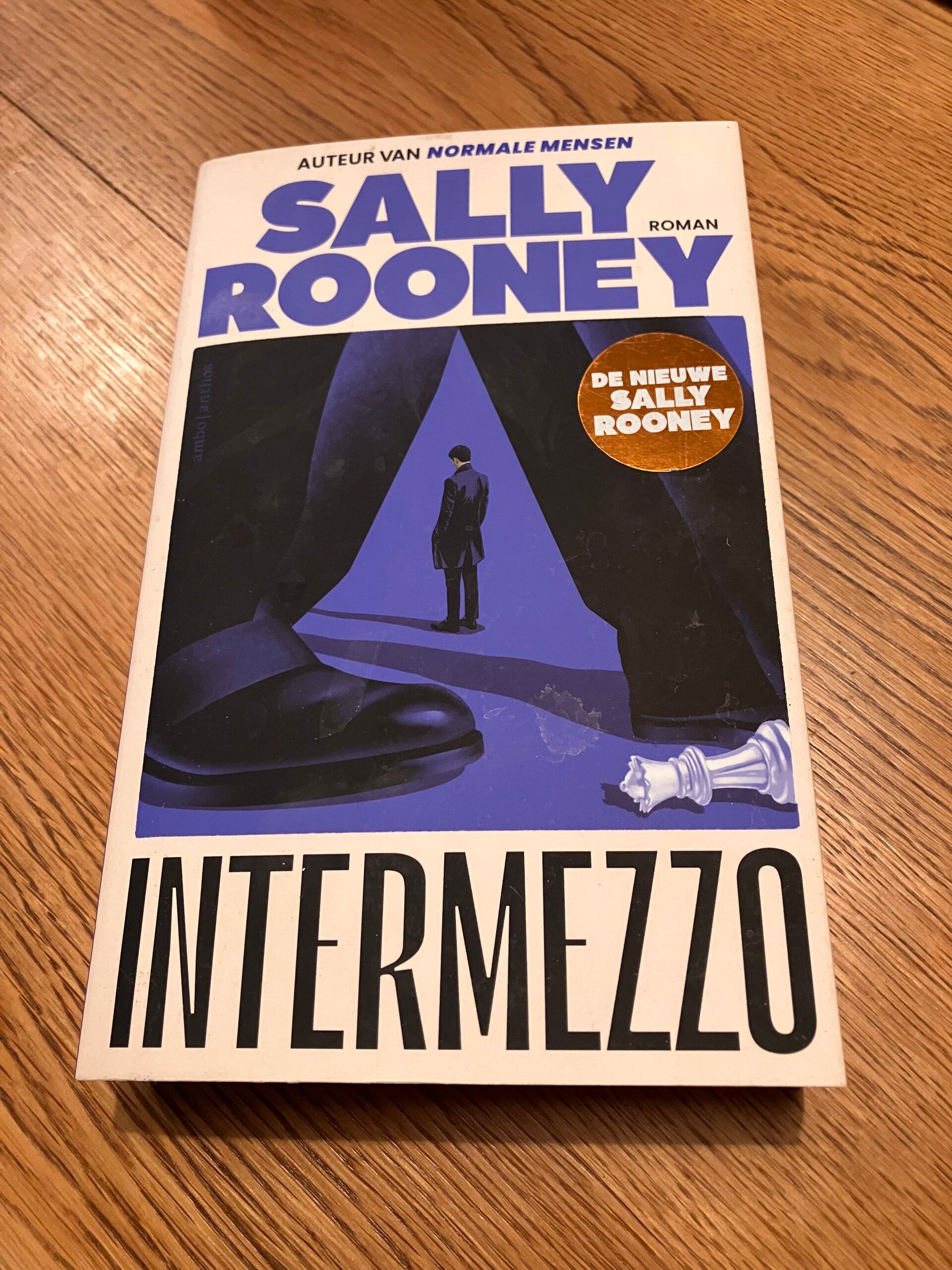Sally Rooney - Intermezzo (Nederlands)