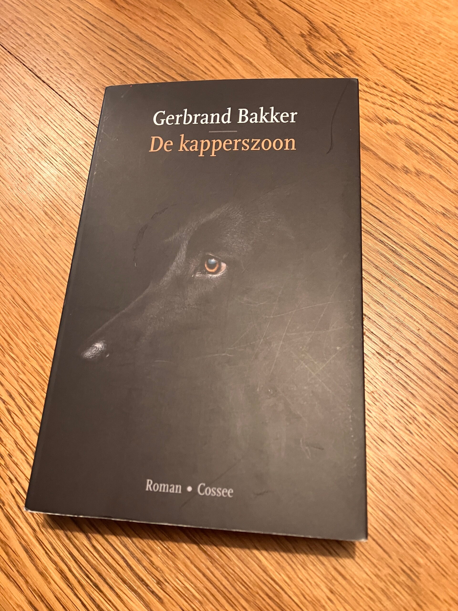 Gerbrand Bakker - De kapperszoon