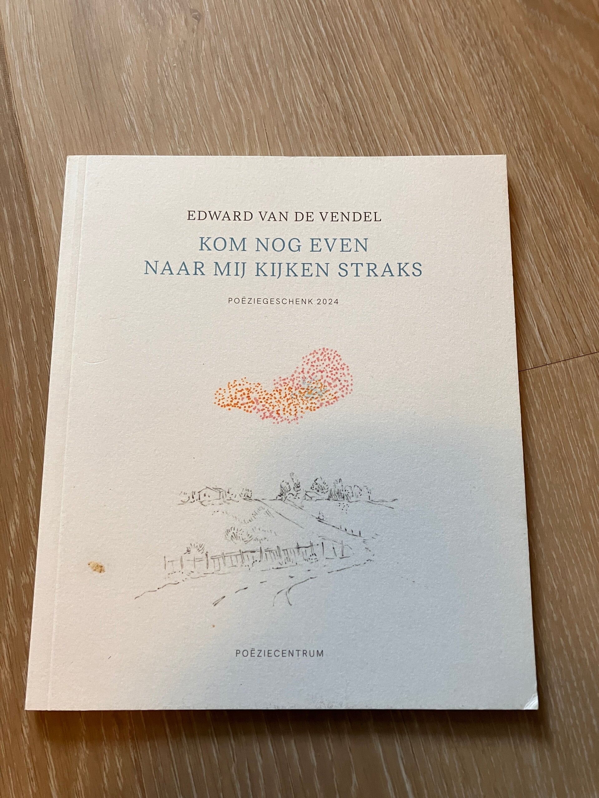 Edward van de Vendel - Kom nog even naar mij kijken straks