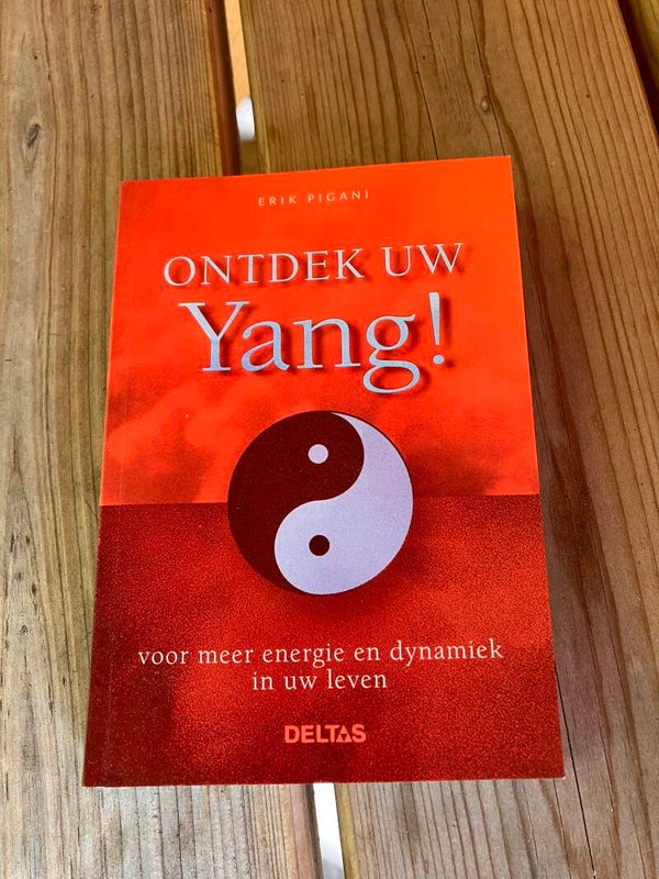 Erik Pigani - Ontdek uw Yang!