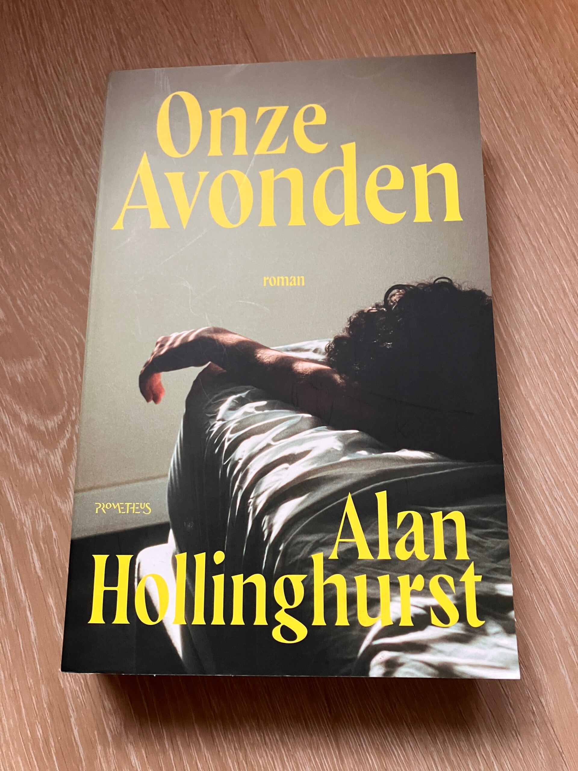 Alan Hollinghurst - Onze Avonden