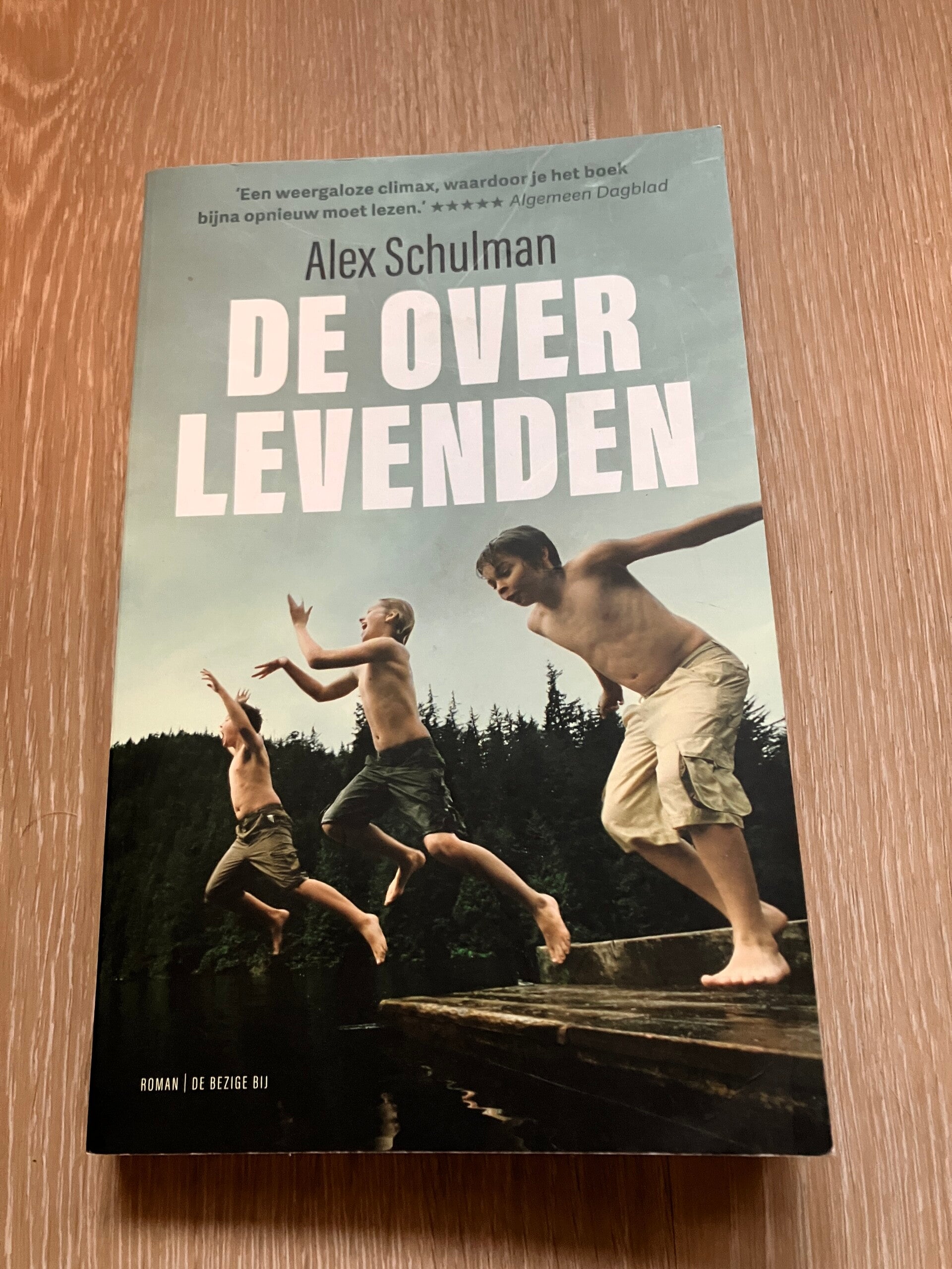 Alex Schulman - De overlevenden