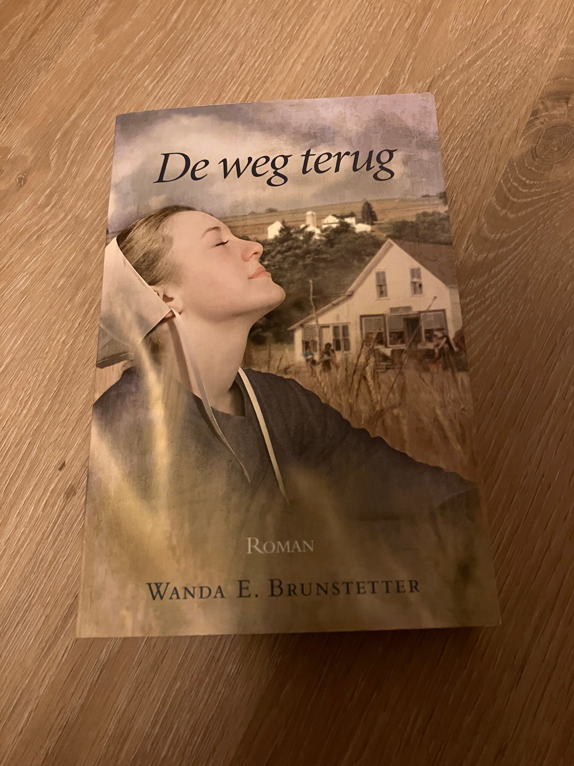 Wanda E. Brunstetter - De weg terug