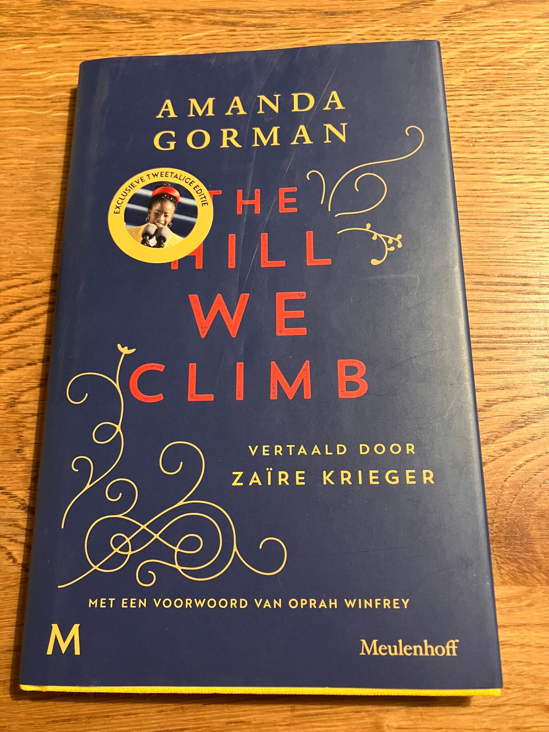 Amanda Gorman - The Hill We Climb (Tweetalige editie NL-EN)