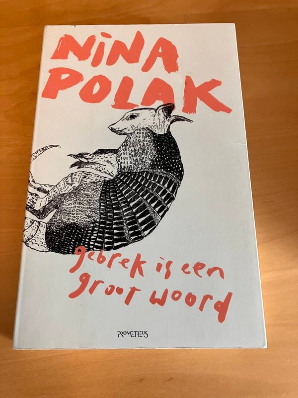 Nina Polak - Gebruik is een groot woord