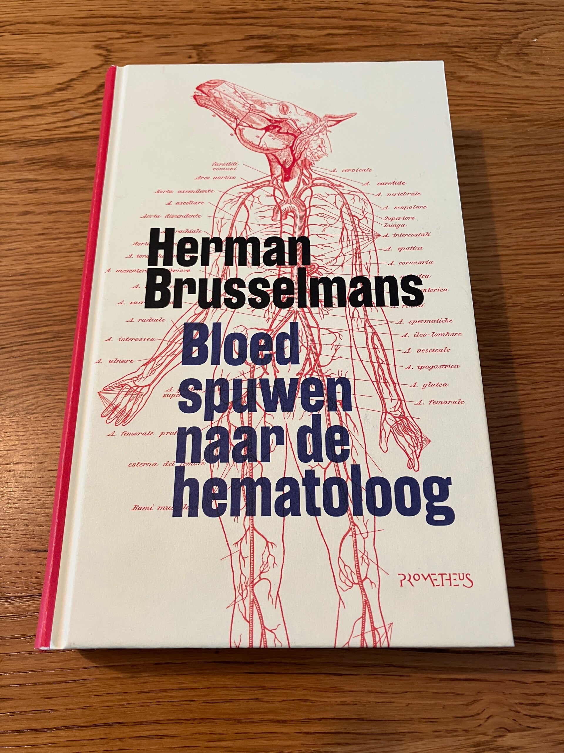 Herman Brusselmans - Bloed spuwen naar de hematoloog