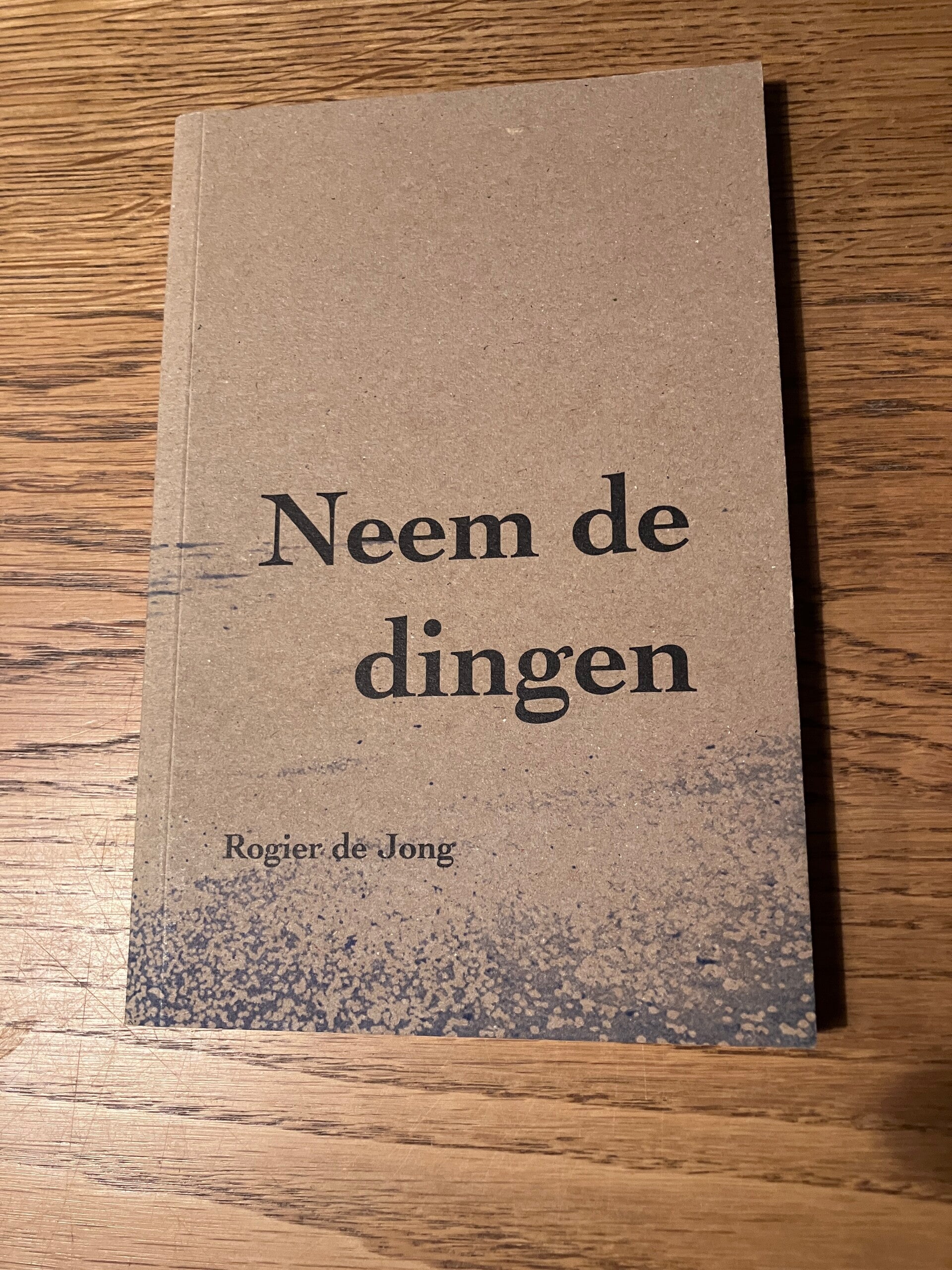 Rogier de Jong - Neem de dingen