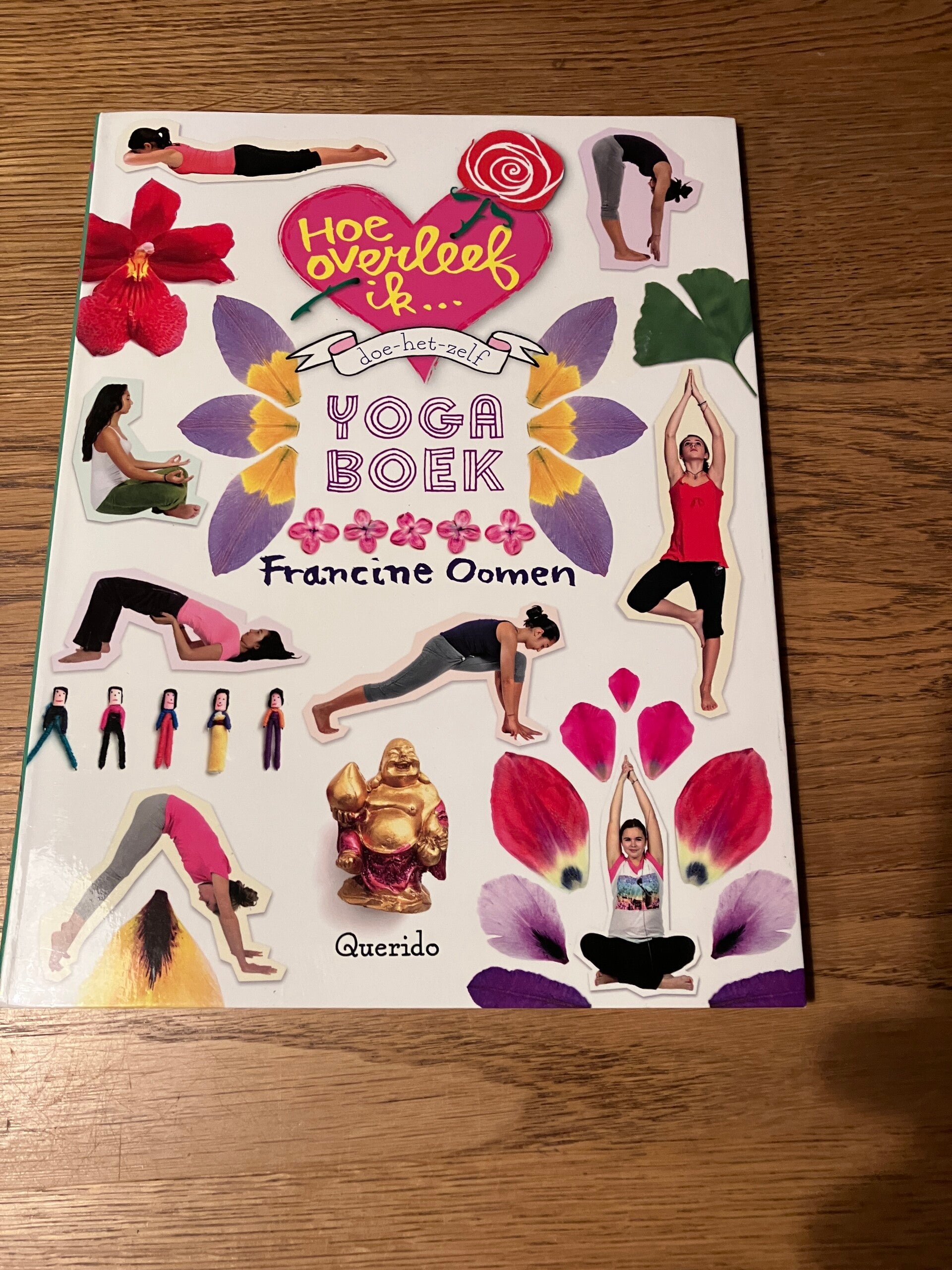 Hoe overleef ik... Yoga boek (doe-het-zelf)
