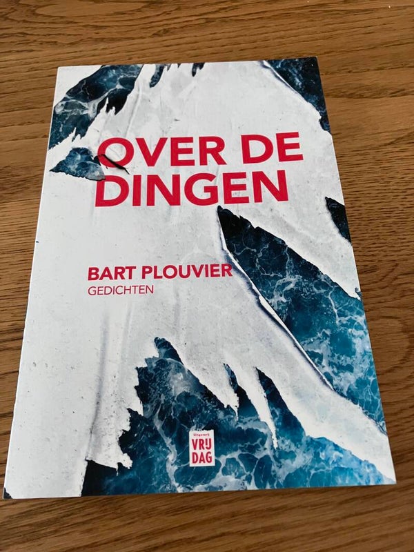 Bart Plouvier - Over de dingen