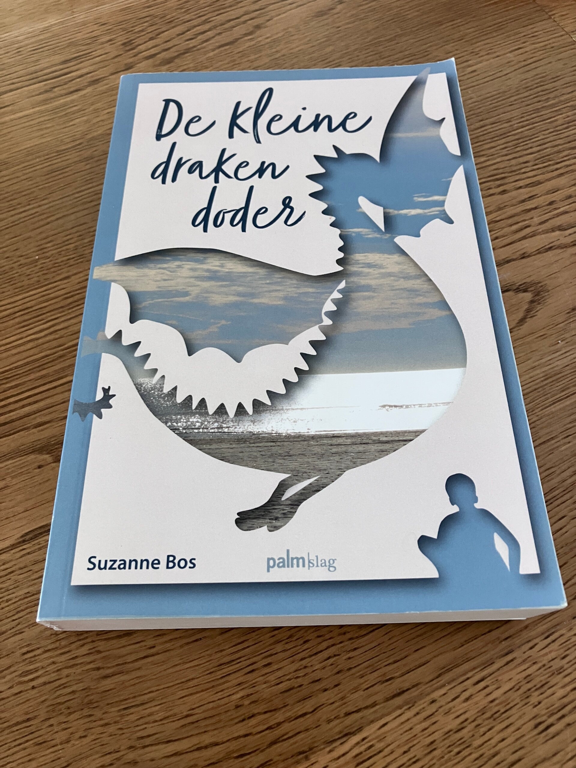 Suzanne Bos - De kleine drakendoder