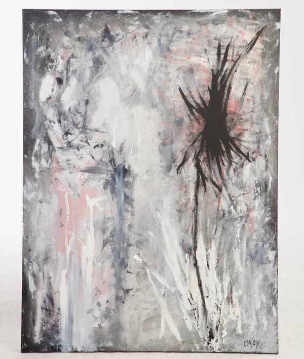 ILLUSIONS OF SUIDAE