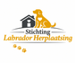Stichting labrador herplaatsing