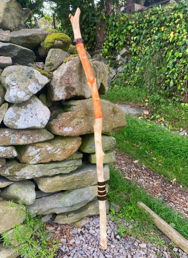 Hand Carved Ash Thumb Stick