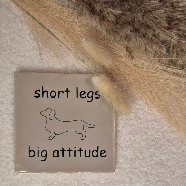 Teckel short legs