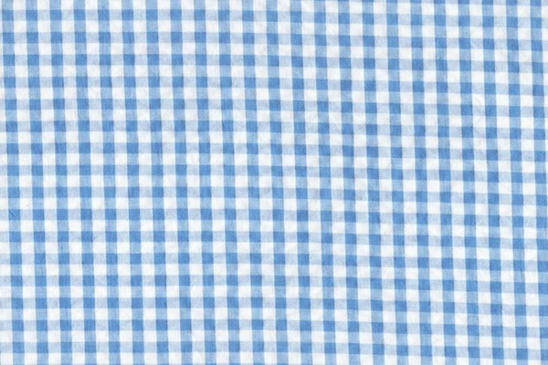 Vichy seersucker azul