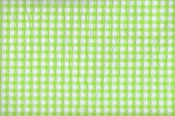 Vichy seersucker verde Lima