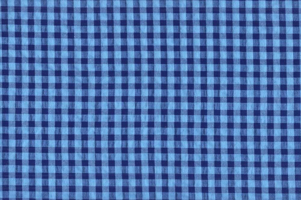 Vichy seersucker azul