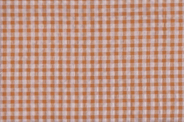 Vichy seersucker tono 21