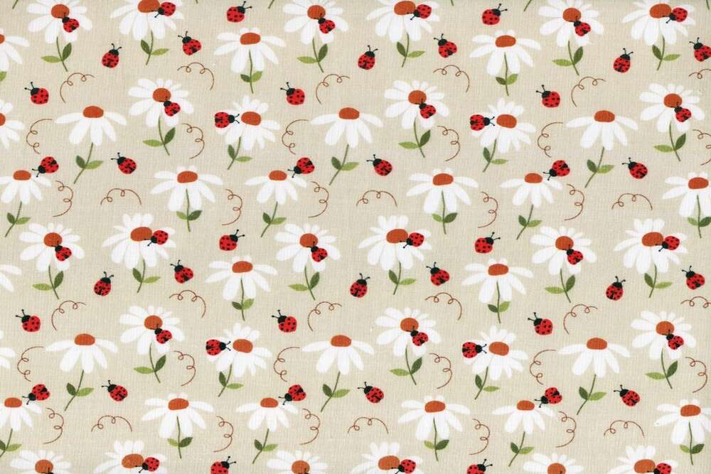 Mariquita margaritas 6560