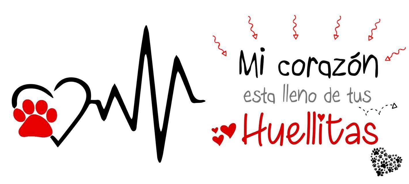 CORAZÓN LLENO DE HUELLITAS