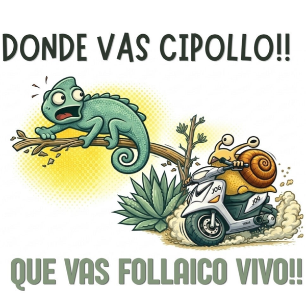 CIPOLLO