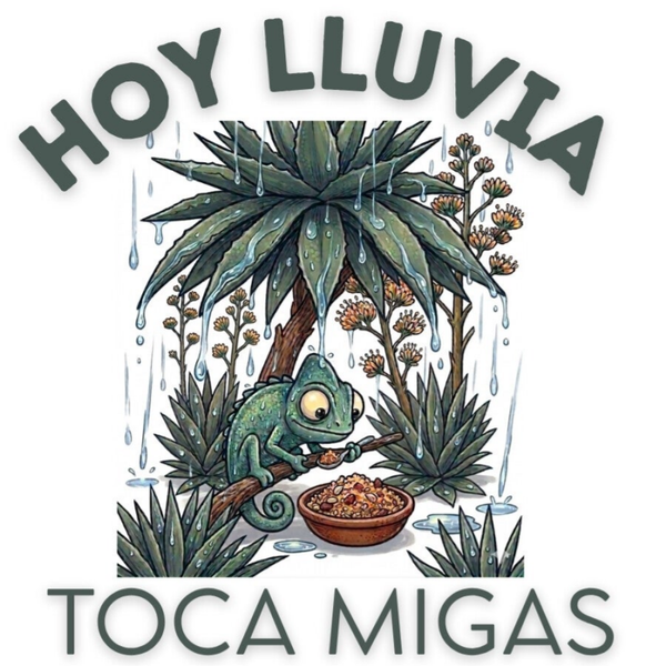 HOY MIGAS